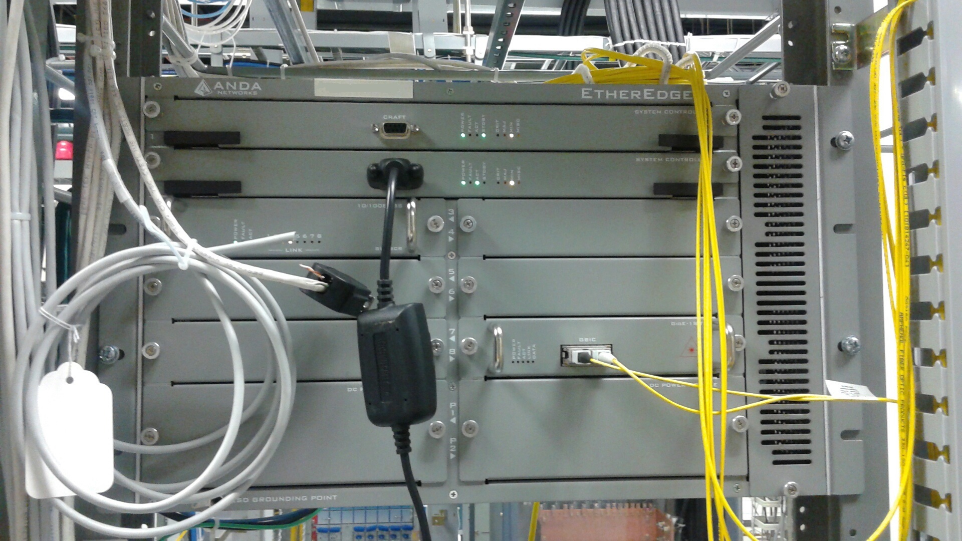 ANDA 4000 shelf